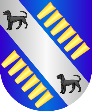 ESCUDO ALEATORIO